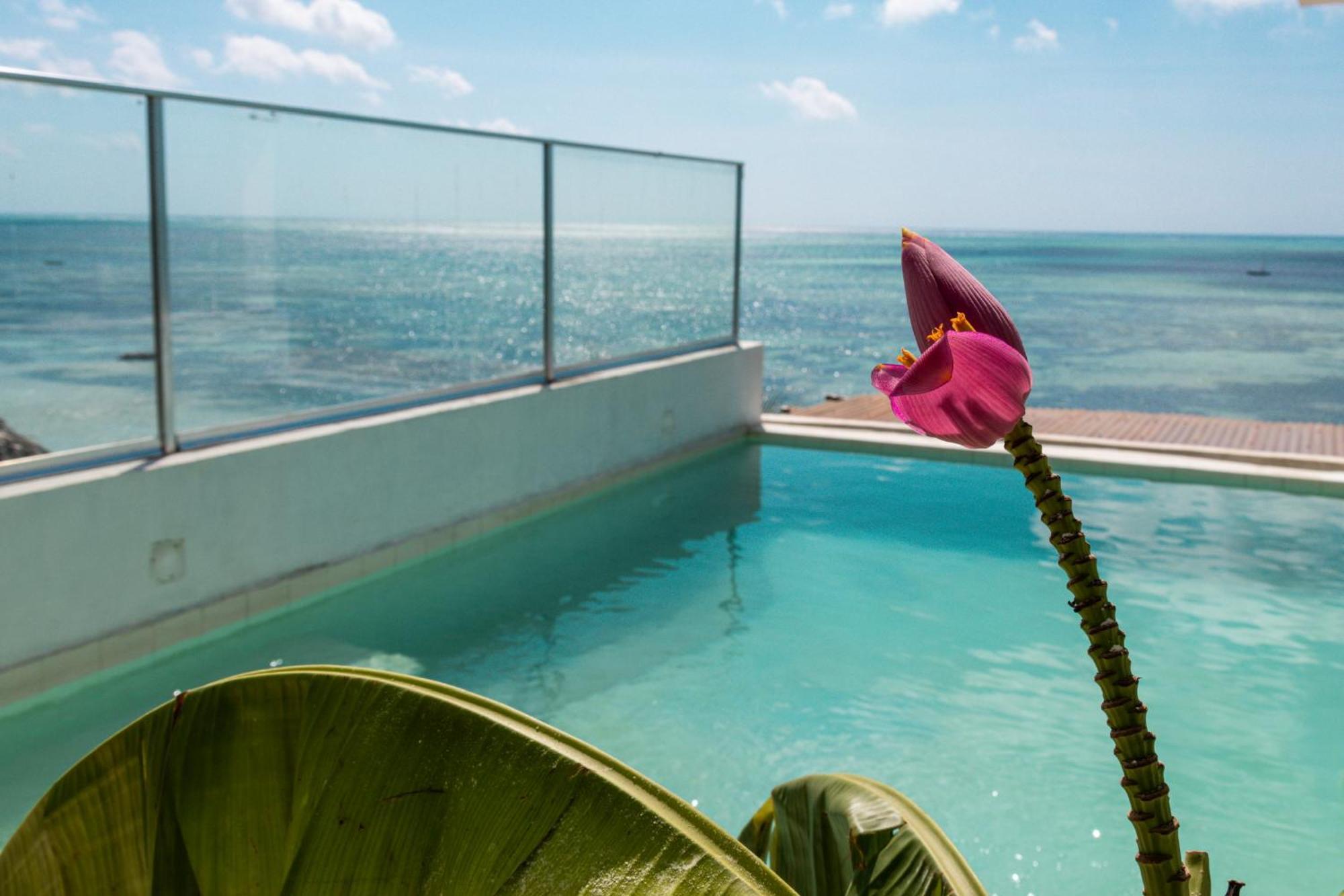 Hotel Pili Pili Sunrise Beach Jambiani  Exteriér fotografie